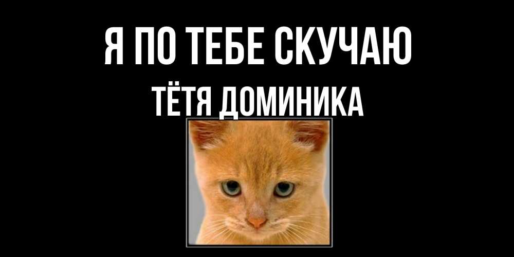 Открытка на каждый день с именем, Тётя-Доминика Я по тебе скучаю открытки рыжий котенок скучает по тебе Прикольная открытка с пожеланием онлайн скачать бесплатно 
