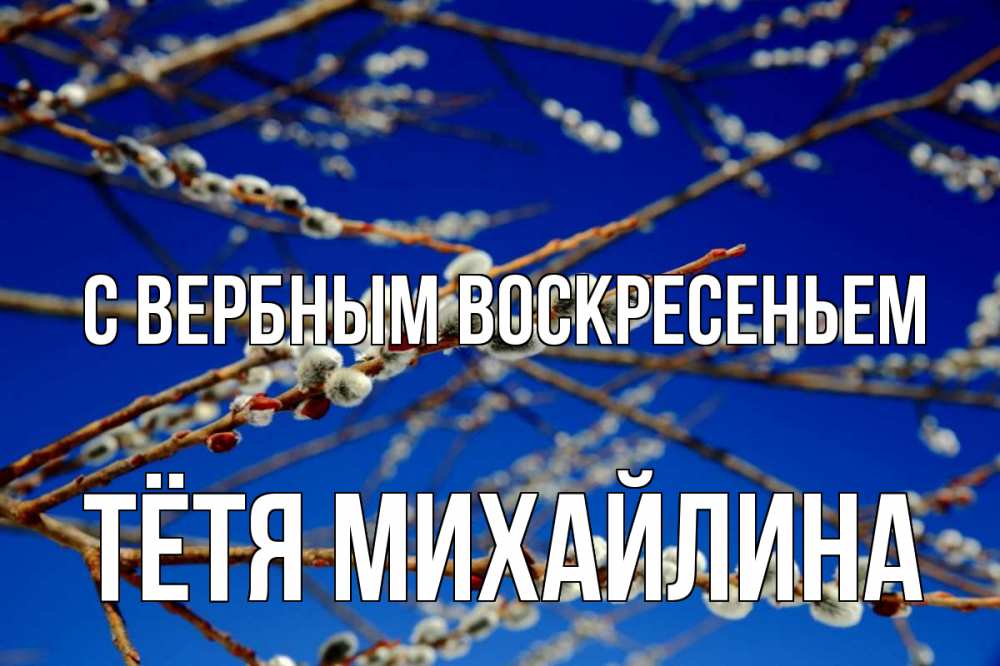 Открытка на каждый день с именем, Тётя-Михайлина С вербным воскресеньем верба Прикольная открытка с пожеланием онлайн скачать бесплатно 