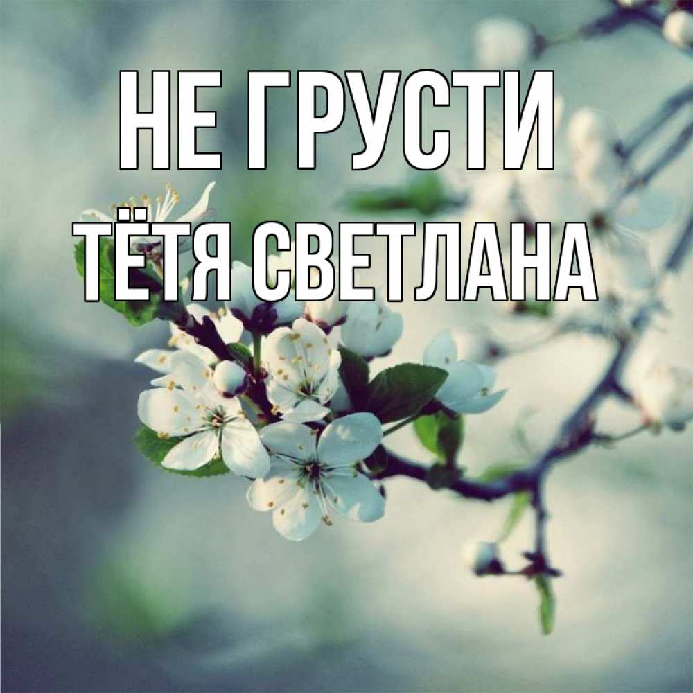 Открытка на каждый день с именем, Тётя-Светлана Не грусти яблоня в цвету 1 Прикольная открытка с пожеланием онлайн скачать бесплатно 