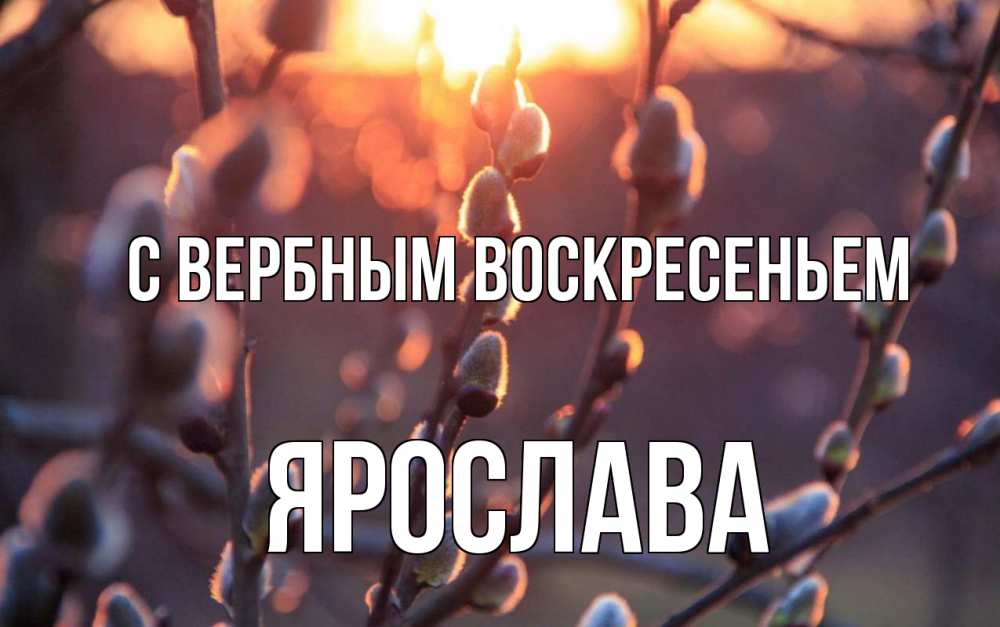 Открытка на каждый день с именем, Ярослава С вербным воскресеньем верба Прикольная открытка с пожеланием онлайн скачать бесплатно 