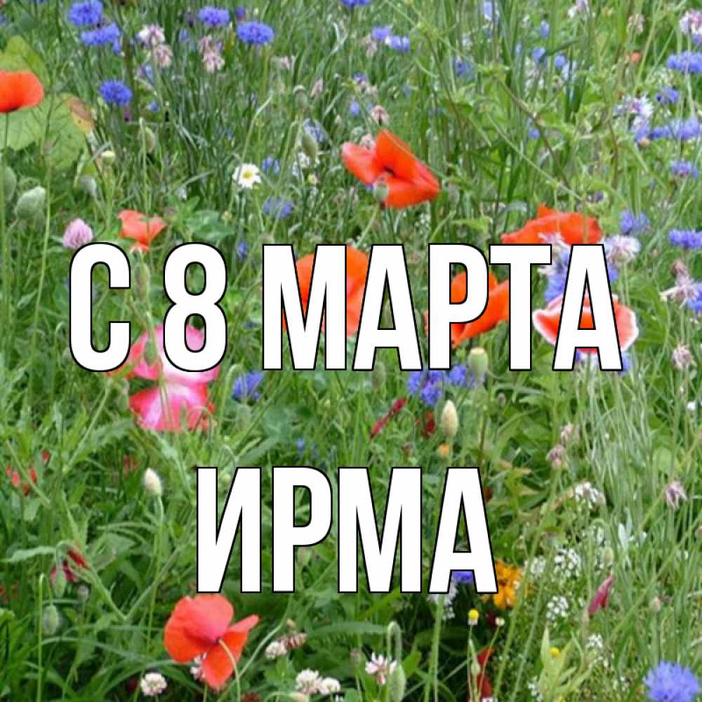 Открытка на каждый день с именем, Ирма С 8 марта международный женский день 4 Прикольная открытка с пожеланием онлайн скачать бесплатно 