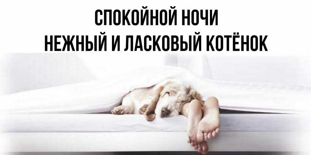 Открытка с именем, Нежный и ласковый котёнок!!, Спокойной ночи