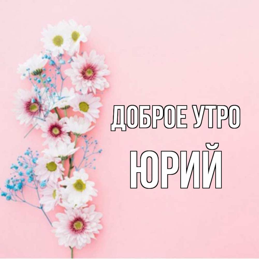 Открытка на каждый день с именем, Юрий Доброе утро цветы с подписью Прикольная открытка с пожеланием онлайн скачать бесплатно 