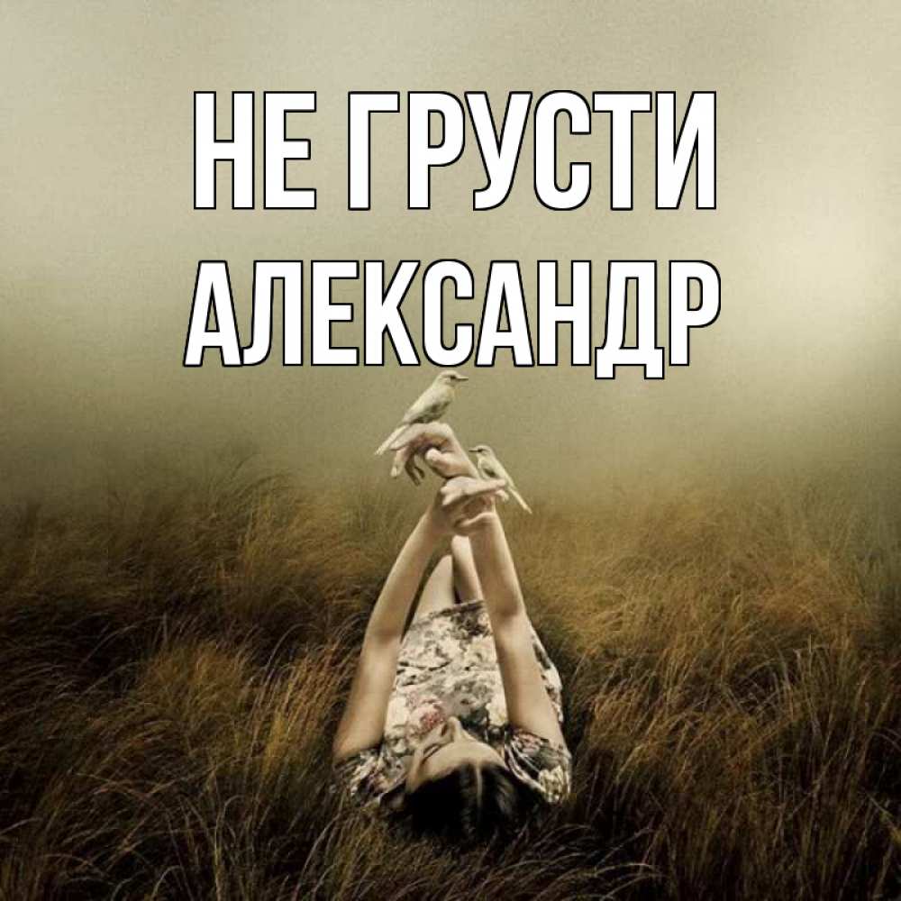 Открытка на каждый день с именем, Александр Не грусти поле и туман Прикольная открытка с пожеланием онлайн скачать бесплатно 