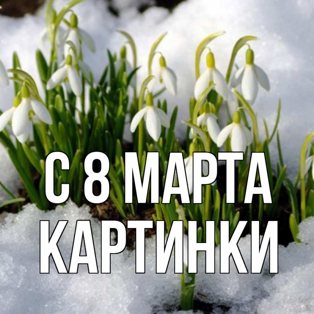 Открытка на каждый день с именем, Картинки С 8 МАРТА цветы весенние Прикольная открытка с пожеланием онлайн скачать бесплатно 