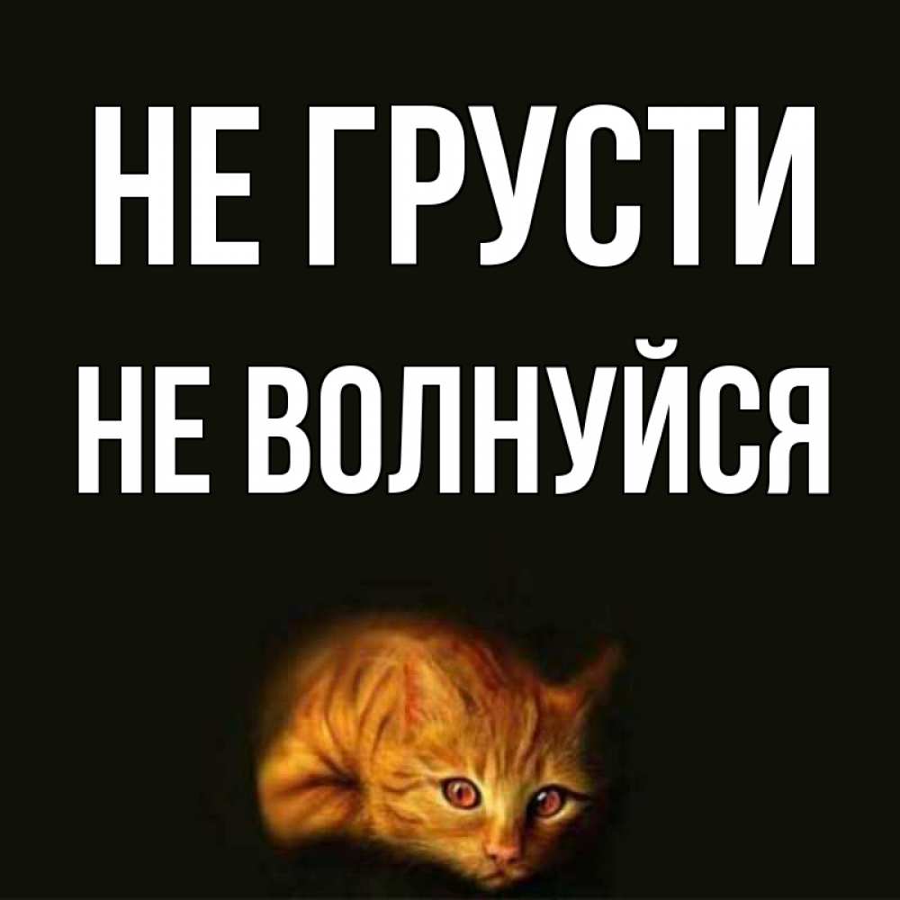 Песни смешные, не грусти и не переживай открытка
