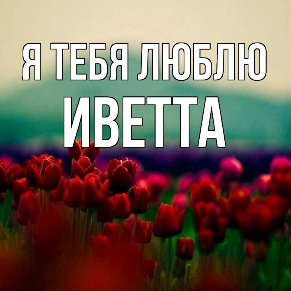 Открытка на каждый день с именем, Иветта Я тебя люблю тюльпаны 4 Прикольная открытка с пожеланием онлайн скачать бесплатно 