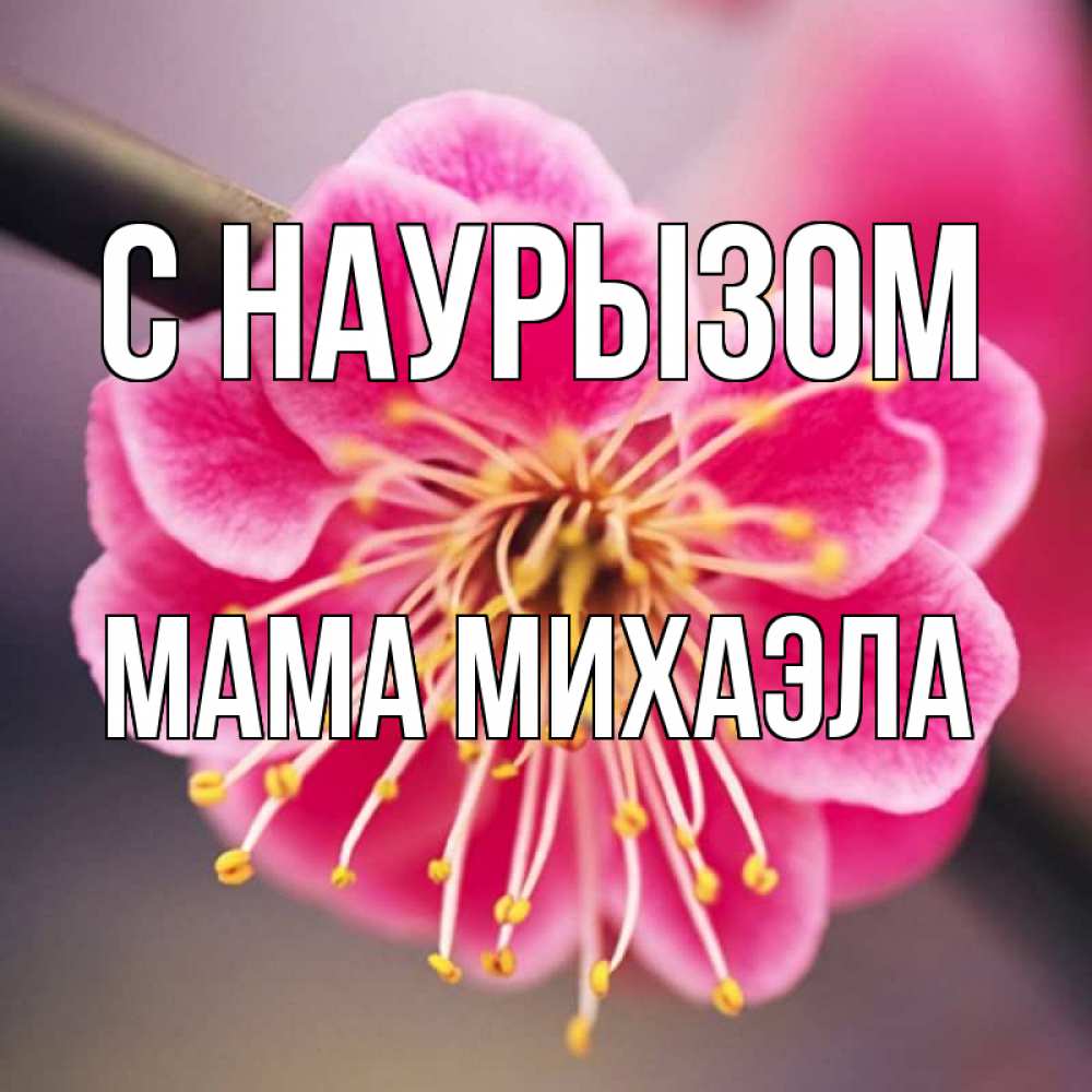 Открытка на каждый день с именем, Мама-Михаэла С наурызом цветы Прикольная открытка с пожеланием онлайн скачать бесплатно 