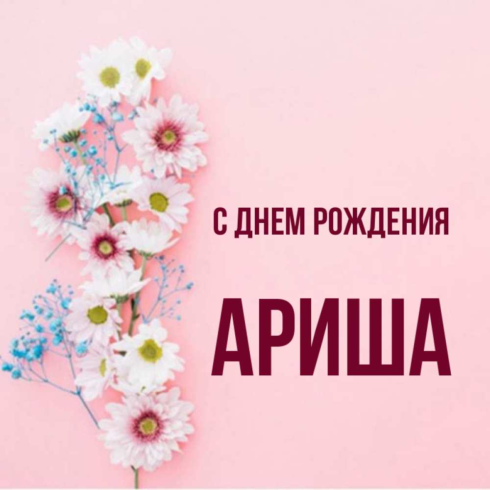 День рождения ариша картинки