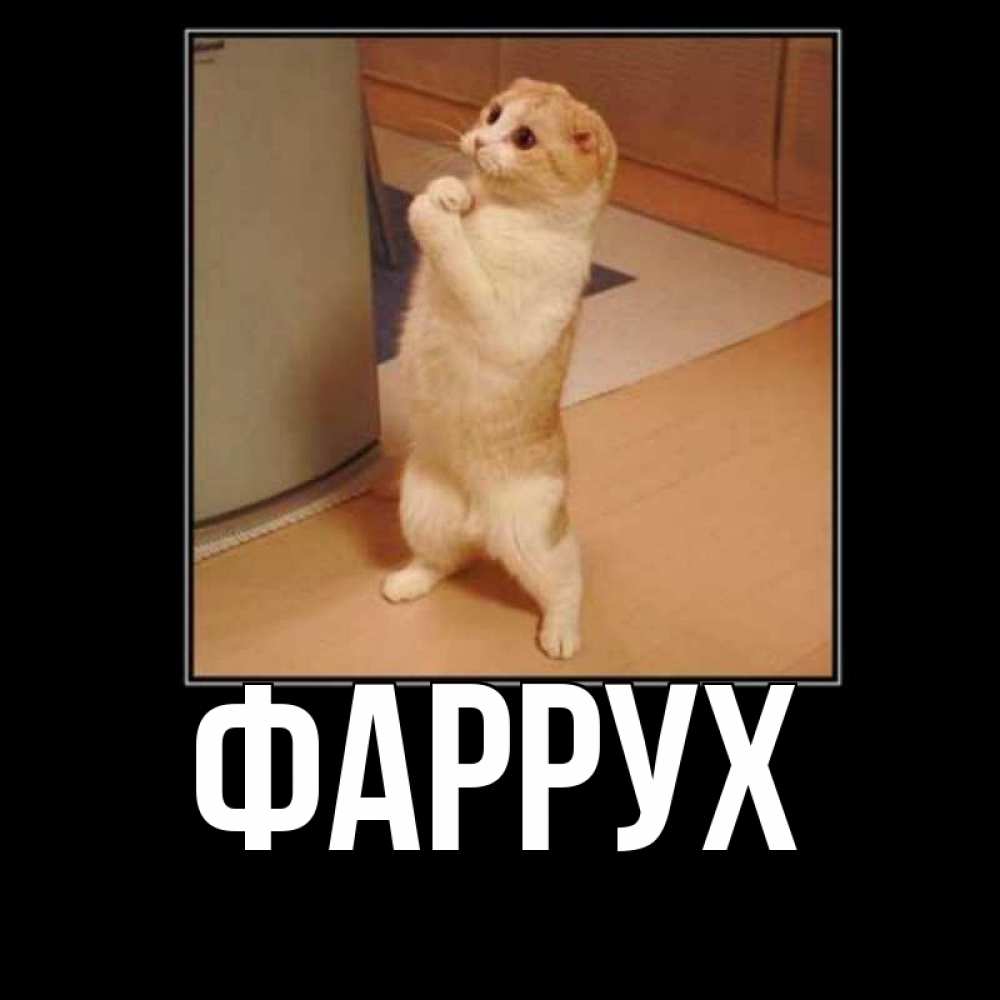 Картинка  с именем , Фаррух