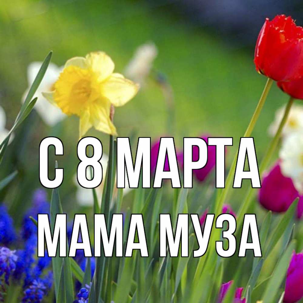 Открытка на каждый день с именем, Мама-Муза С 8 марта международный женский день 3 Прикольная открытка с пожеланием онлайн скачать бесплатно 