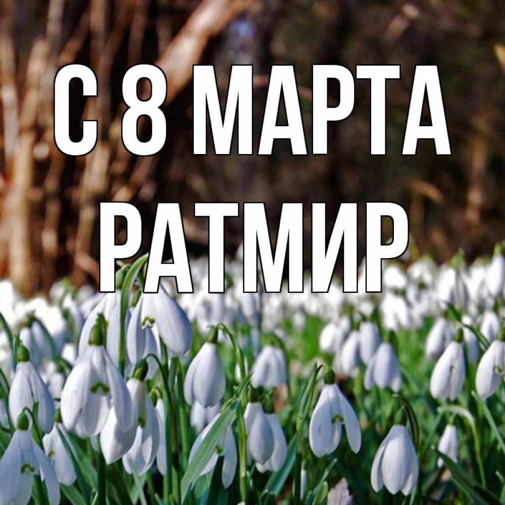 Открытка на каждый день с именем, Ратмир С 8 МАРТА с подснежниками 1 Прикольная открытка с пожеланием онлайн скачать бесплатно 