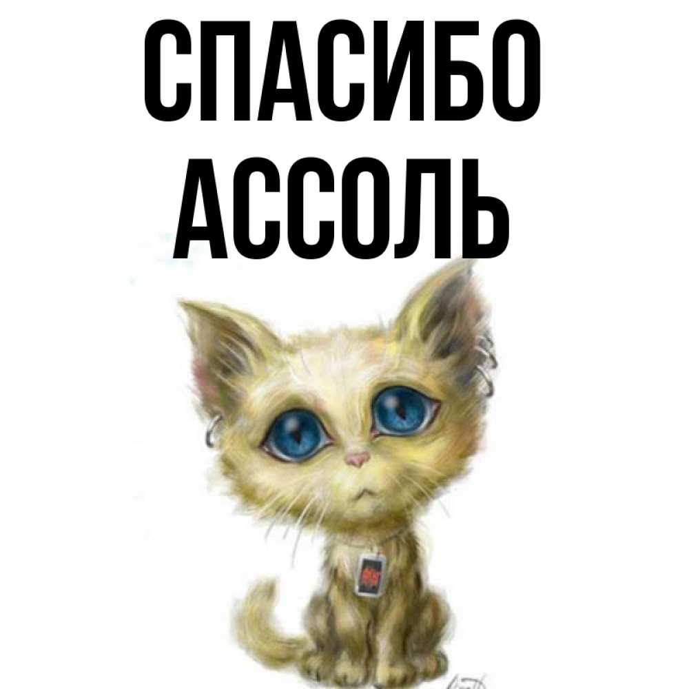 Открытка на каждый день с именем, Ассоль Спасибо рисованный кот благодарит вас Прикольная открытка с пожеланием онлайн скачать бесплатно 