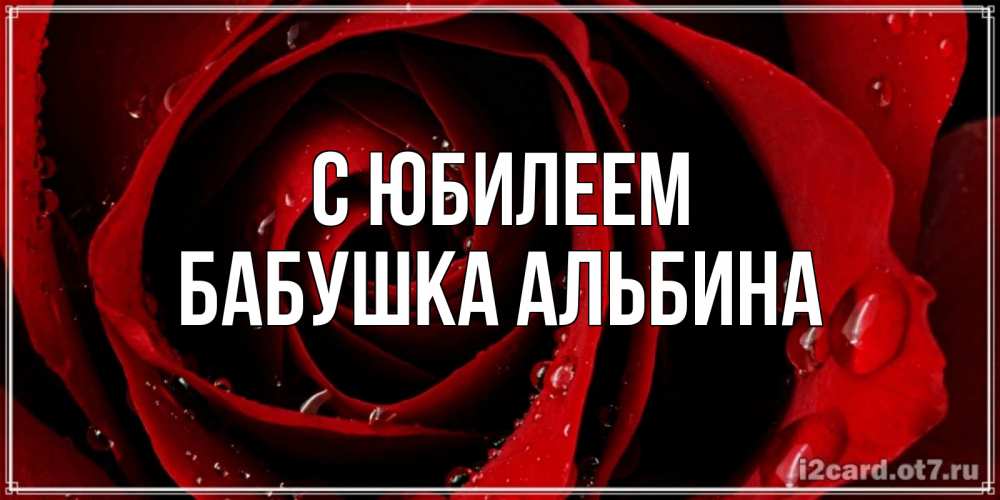 Открытка на каждый день с именем, Бабушка-Альбина С юбилеем крупная бордовая роза Прикольная открытка с пожеланием онлайн скачать бесплатно 
