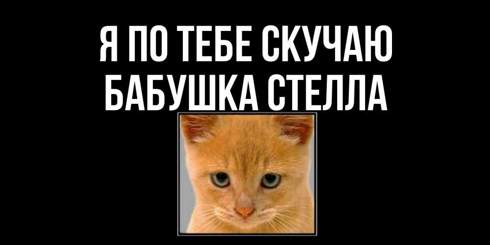 Открытка на каждый день с именем, Бабушка-Стелла Я по тебе скучаю открытки рыжий котенок скучает по тебе Прикольная открытка с пожеланием онлайн скачать бесплатно 
