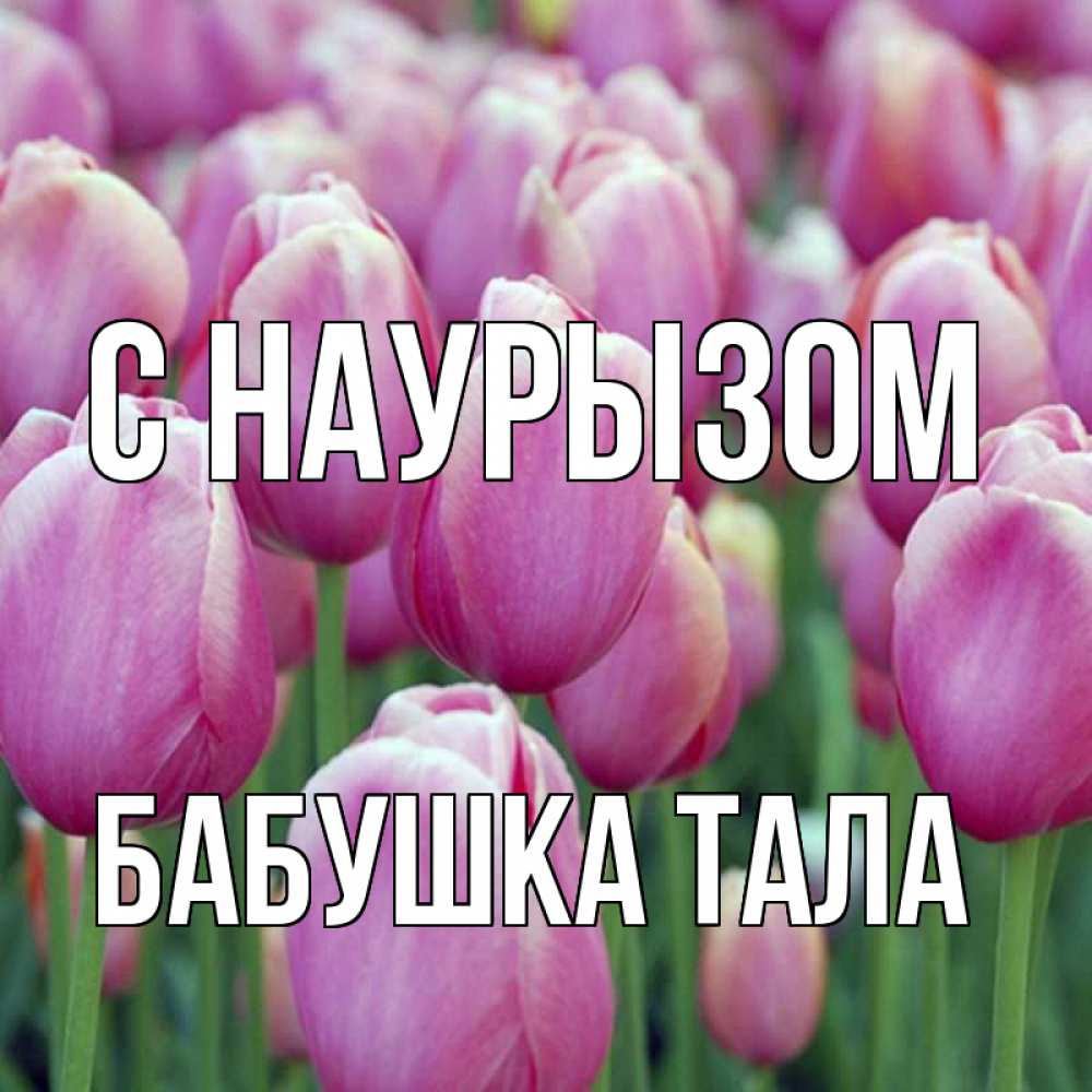 Открытка на каждый день с именем, Бабушка-Тала С наурызом праздник весны наурыз 69 Прикольная открытка с пожеланием онлайн скачать бесплатно 