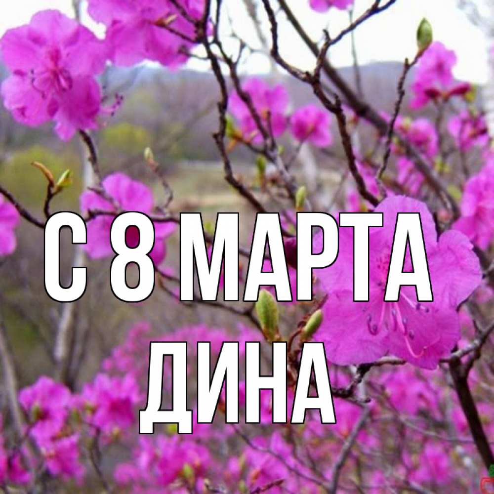 Открытка на каждый день с именем, Дина С 8 марта международный женский день Прикольная открытка с пожеланием онлайн скачать бесплатно 