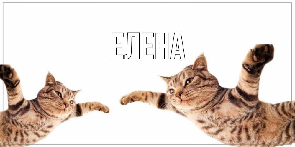Открытка на каждый день с именем, Елена Главная хорошего дня Прикольная открытка с пожеланием онлайн скачать бесплатно 