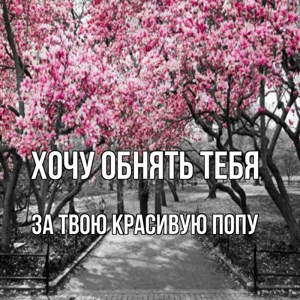 Открытка на каждый день с именем, За-твою-красивую-попу Хочу обнять тебя обработанное фото Прикольная открытка с пожеланием онлайн скачать бесплатно 