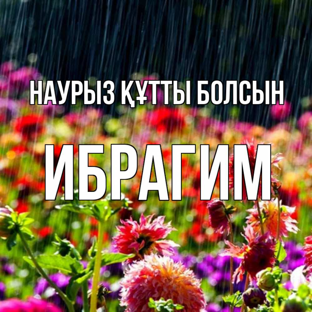 Открытка на каждый день с именем, Ибрагим Наурыз құтты болсын цветы под дождиком к наурызу Прикольная открытка с пожеланием онлайн скачать бесплатно 