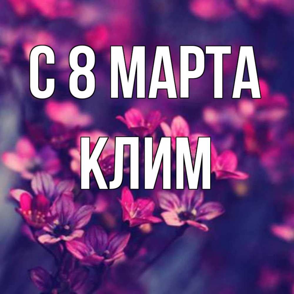 Открытка на каждый день с именем, Клим С 8 марта небольшие цветы 1 Прикольная открытка с пожеланием онлайн скачать бесплатно 