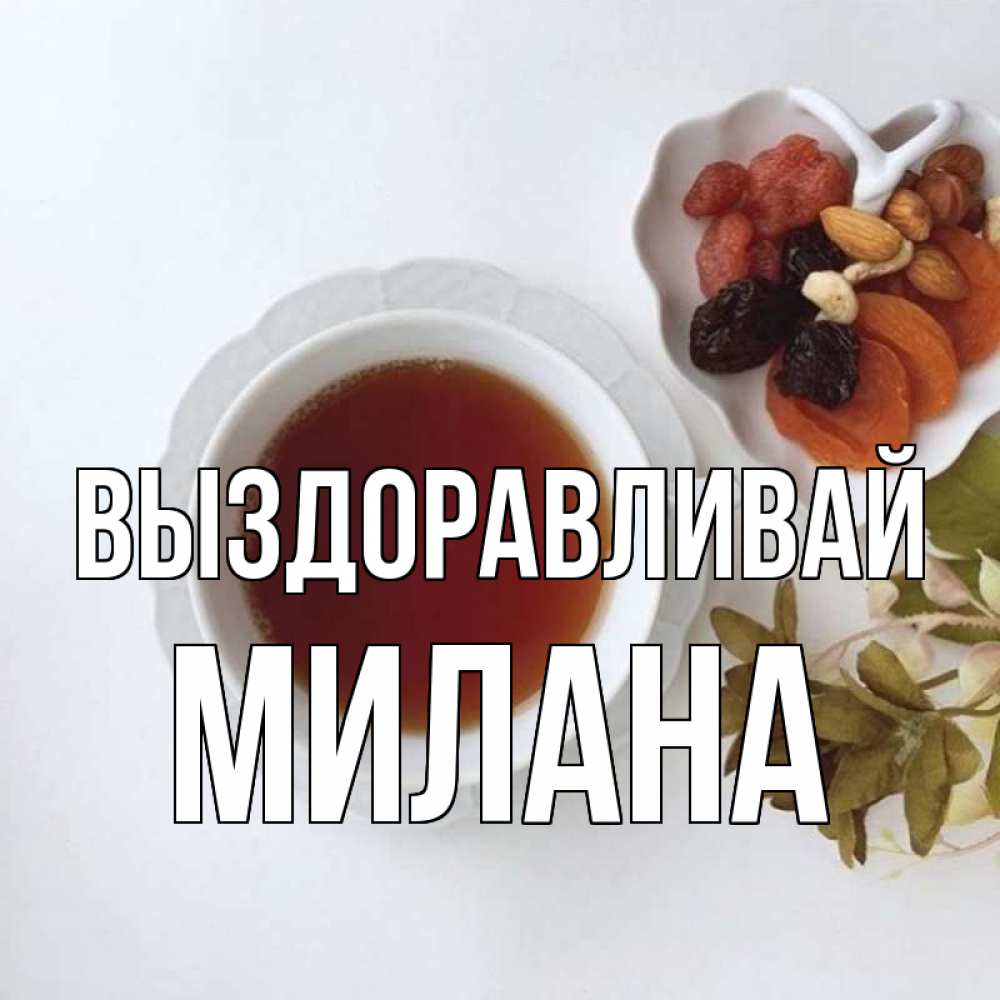 Открытка на каждый день с именем, Милана Выздоравливай неизвестные растения Прикольная открытка с пожеланием онлайн скачать бесплатно 