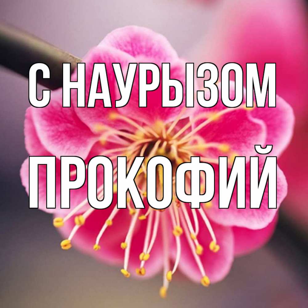 Открытка на каждый день с именем, Прокофий С наурызом цветы Прикольная открытка с пожеланием онлайн скачать бесплатно 