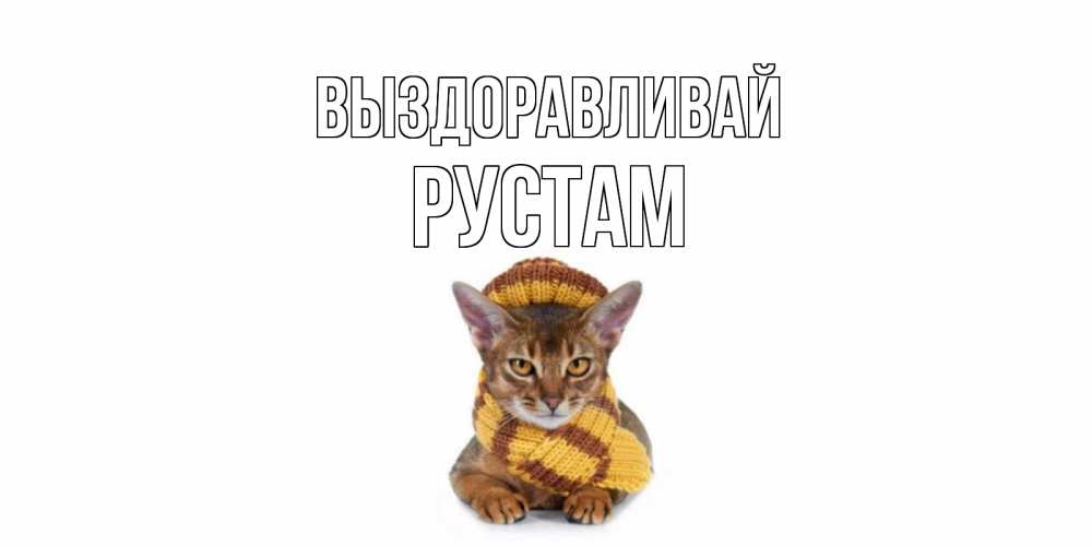 Открытка на каждый день с именем, Рустам Выздоравливай родные не болейте Прикольная открытка с пожеланием онлайн скачать бесплатно 