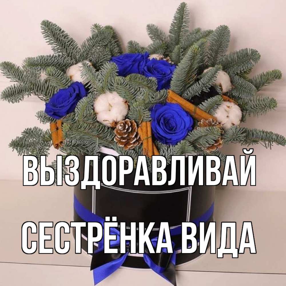 Открытка на каждый день с именем, Сестрёнка-Вида Выздоравливай короче кто то загрузил эти шишки Прикольная открытка с пожеланием онлайн скачать бесплатно 