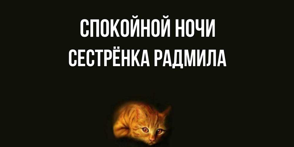 Открытка на каждый день с именем, Сестрёнка-Радмила Спокойной ночи кот Прикольная открытка с пожеланием онлайн скачать бесплатно 