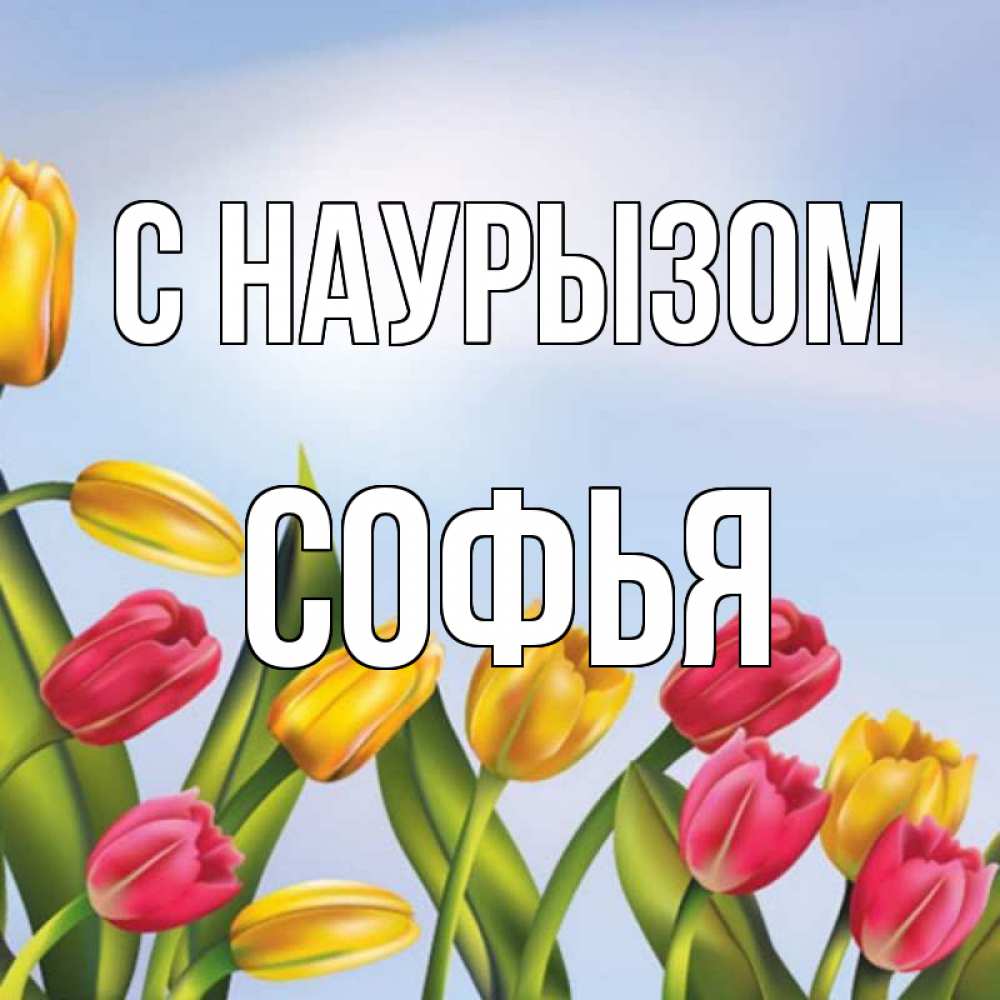 Открытка на каждый день с именем, Софья С наурызом праздник весны наурыз Прикольная открытка с пожеланием онлайн скачать бесплатно 
