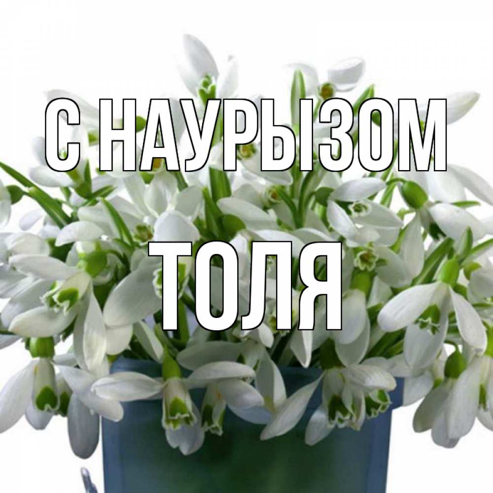 Открытка на каждый день с именем, Толя С наурызом цветы к наурызу новый год в Казахстане Прикольная открытка с пожеланием онлайн скачать бесплатно 