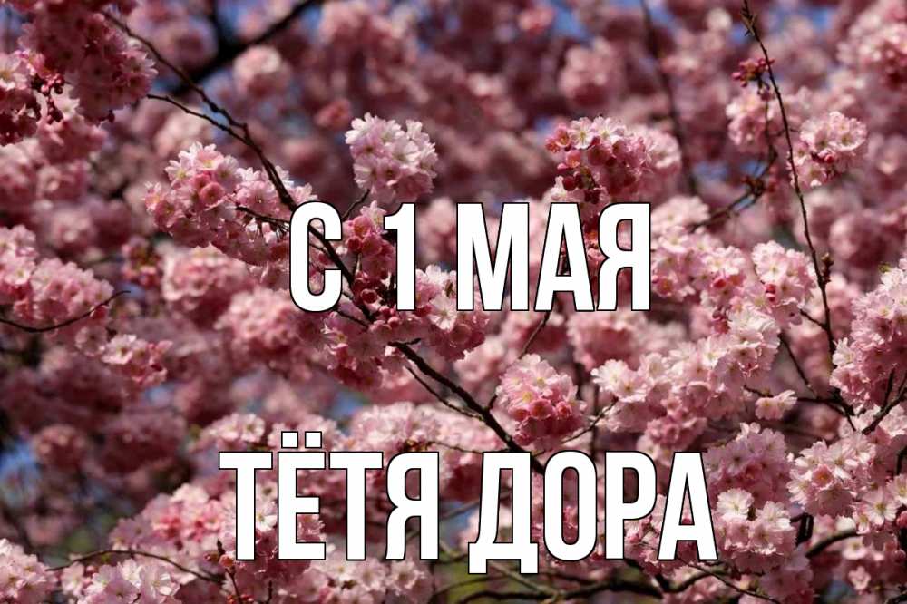 Открытка на каждый день с именем, Тётя-Дора С 1 мая С 1 мая Прикольная открытка с пожеланием онлайн скачать бесплатно 