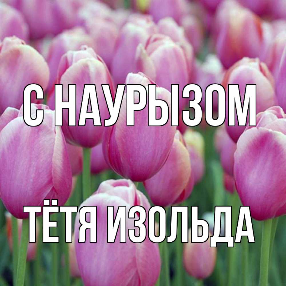 Открытка на каждый день с именем, Тётя-Изольда С наурызом праздник весны наурыз 69 Прикольная открытка с пожеланием онлайн скачать бесплатно 