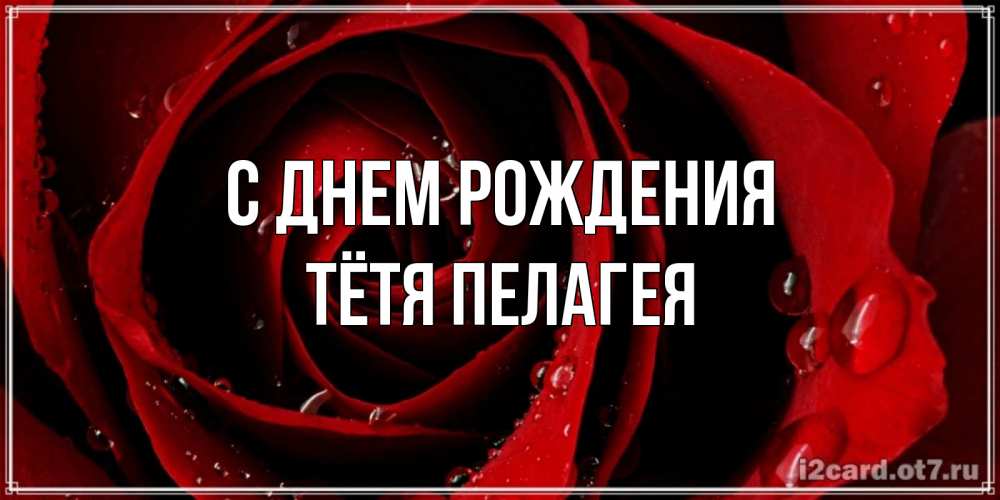 Открытка на каждый день с именем, Тётя-Пелагея С днем рождения крупная бордовая роза Прикольная открытка с пожеланием онлайн скачать бесплатно 