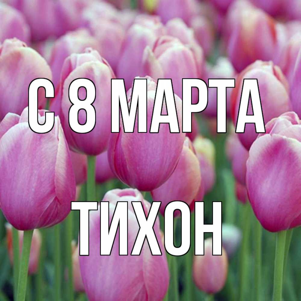 Открытка на каждый день с именем, Тихон С 8 МАРТА на международный женский день 3 Прикольная открытка с пожеланием онлайн скачать бесплатно 