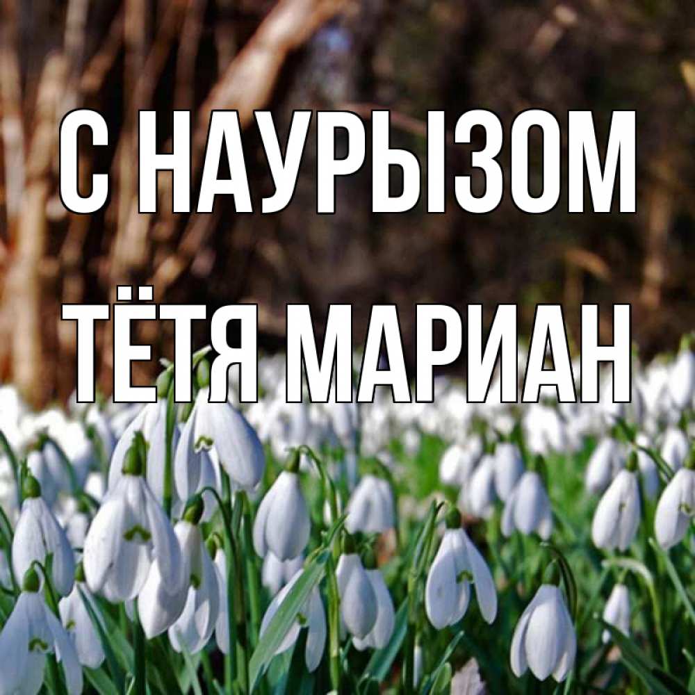 Открытка на каждый день с именем, Тётя-Мариан С наурызом с подснежниками 1 Прикольная открытка с пожеланием онлайн скачать бесплатно 
