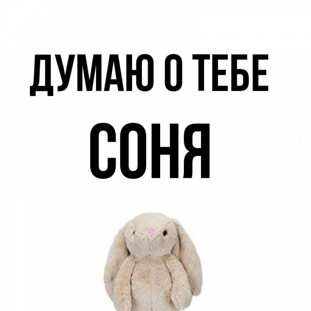Картинки с именем соня прикольные, своими руками для