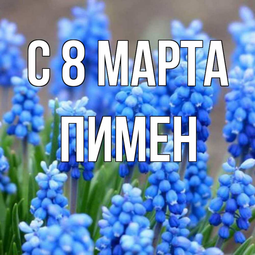 Открытка на каждый день с именем, Пимен С 8 марта Поздравительная открытка для женщин с цветами на праздничную дату Прикольная открытка с пожеланием онлайн скачать бесплатно 