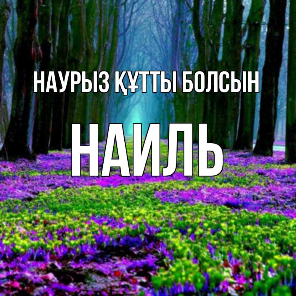 Открытка на каждый день с именем, Наиль Наурыз құтты болсын фиолетовые цветы в лесу 1 Прикольная открытка с пожеланием онлайн скачать бесплатно 