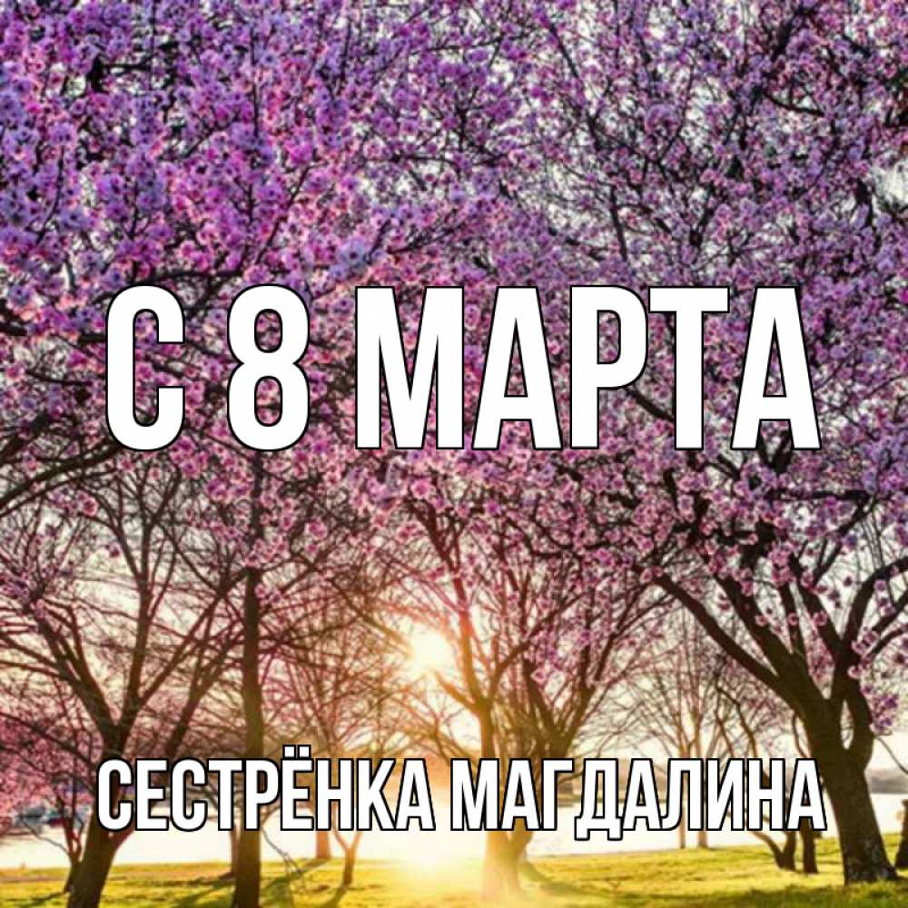 Открытка на каждый день с именем, Сестрёнка-Магдалина С 8 марта международный женский день Прикольная открытка с пожеланием онлайн скачать бесплатно 