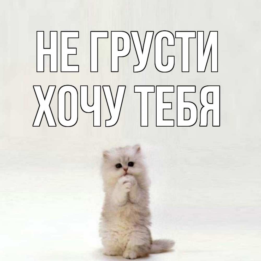 Открытка на каждый день с именем, Хочу-тебя Не грусти грустный кот Прикольная открытка с пожеланием онлайн скачать бесплатно 