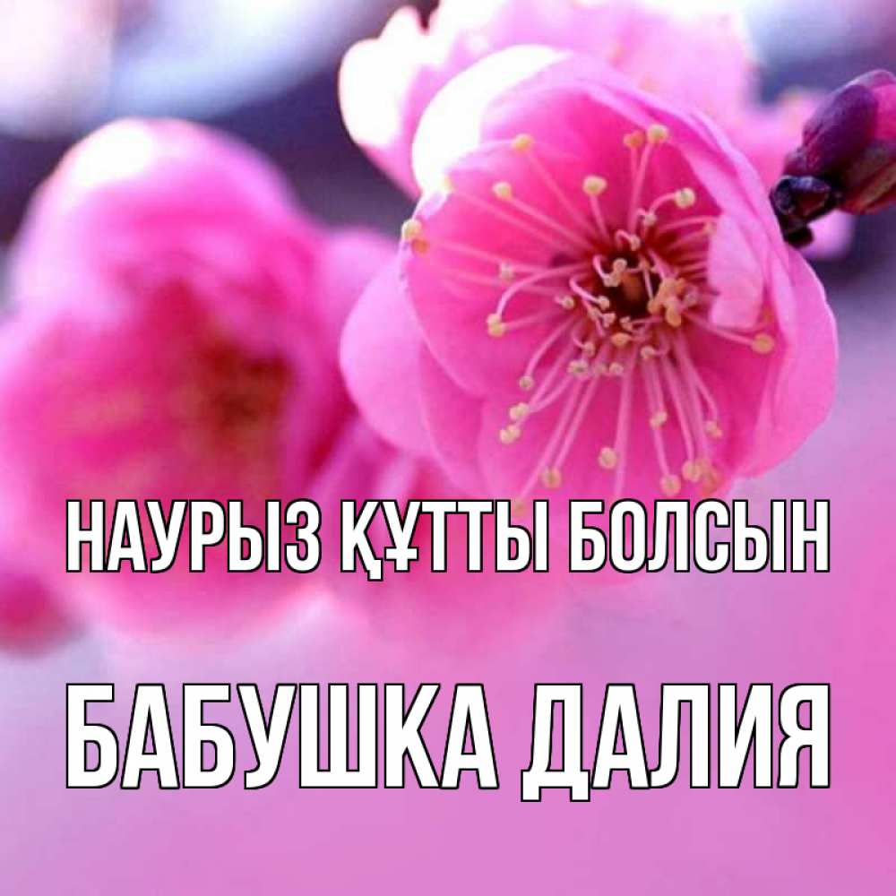 Открытка на каждый день с именем, Бабушка-Далия Наурыз құтты болсын наурыз мейрам Прикольная открытка с пожеланием онлайн скачать бесплатно 