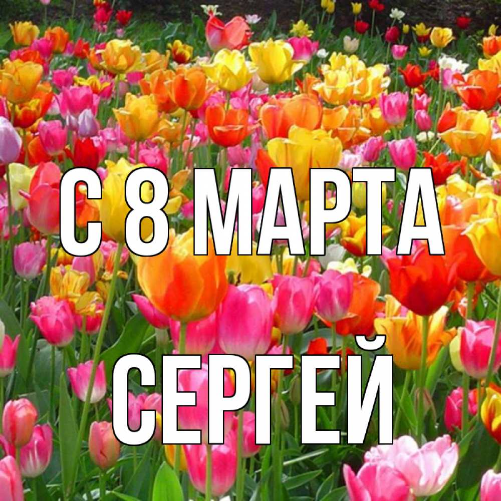 Открытка на каждый день с именем, Сергей С 8 марта на международный женский день Прикольная открытка с пожеланием онлайн скачать бесплатно 