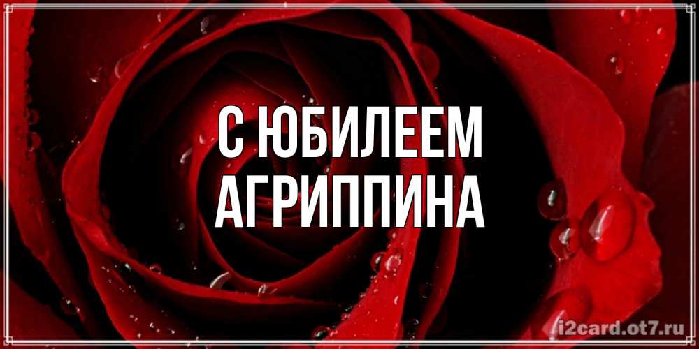 Открытка на каждый день с именем, Агриппина С юбилеем крупная бордовая роза Прикольная открытка с пожеланием онлайн скачать бесплатно 