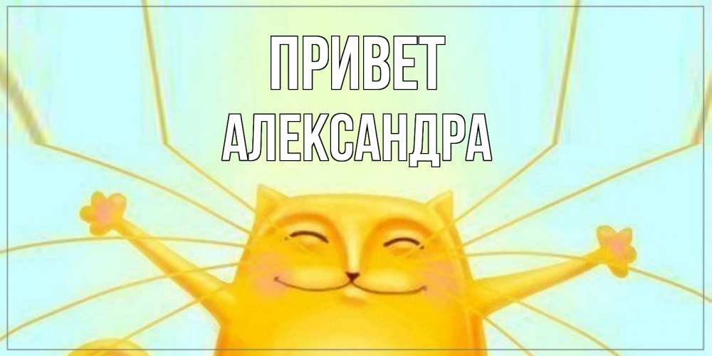 Открытка на каждый день с именем, Александра Привет кот Прикольная открытка с пожеланием онлайн скачать бесплатно 
