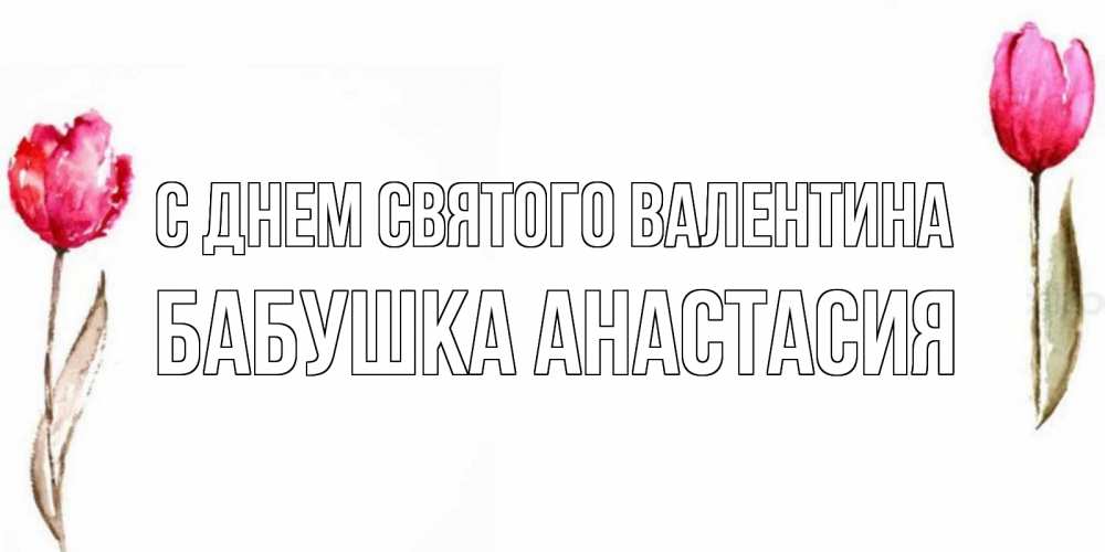 Открытка на каждый день с именем, Бабушка-Анастасия С днем Святого Валентина Открытки на день всех влюбленных с тюльпанами акварелью Прикольная открытка с пожеланием онлайн скачать бесплатно 