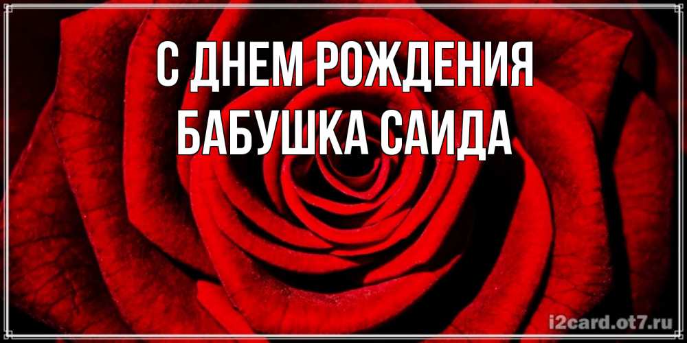 Открытка на каждый день с именем, Бабушка-Саида С днем рождения алая роза Прикольная открытка с пожеланием онлайн скачать бесплатно 