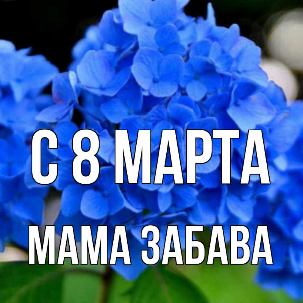 Открытка на каждый день с именем, Мама-Забава С 8 МАРТА синие цветы Прикольная открытка с пожеланием онлайн скачать бесплатно 