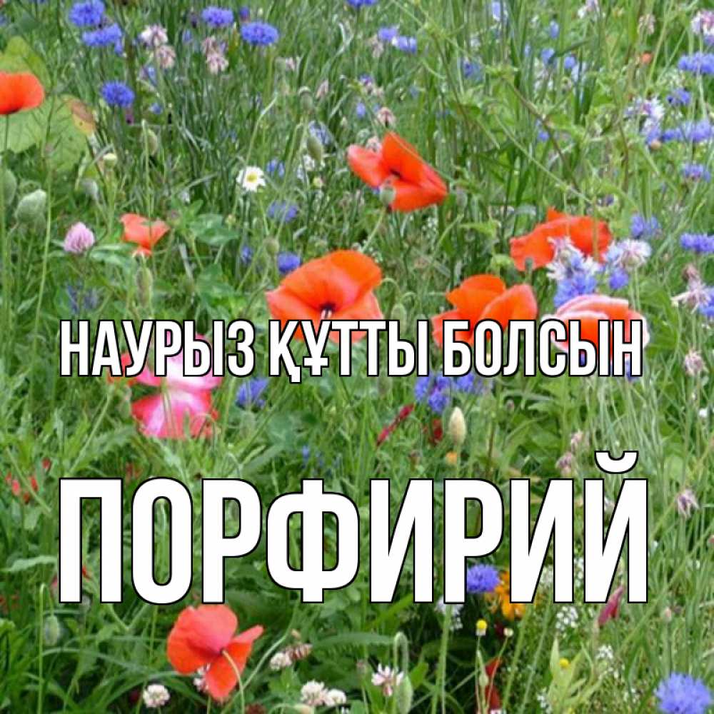 Открытка на каждый день с именем, Порфирий Наурыз құтты болсын наурыз  4 Прикольная открытка с пожеланием онлайн скачать бесплатно 